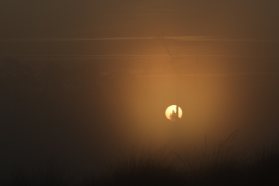 <i class='fa fa-user'></i>&nbsp;Kees van de Wege&nbsp;|  Zonsopkomst&nbsp; <i class='fa fa-eye'>&nbsp;98</i> &nbsp; <i class='fa fa-comment-o'>&nbsp;0</i>