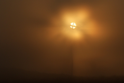 <i class='fa fa-user'></i>&nbsp;Kees van de Wege&nbsp;|  Zonsopkomst&nbsp; <i class='fa fa-eye'>&nbsp;114</i> &nbsp; <i class='fa fa-comment-o'>&nbsp;2</i>