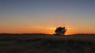 <i class='fa fa-user'></i>&nbsp;Bert Veerman&nbsp;|  Solitair bij Zonsondergang&nbsp; <i class='fa fa-eye'>&nbsp;62</i> &nbsp;<i class='fa fa-thumbs-up'>&nbsp;2</i> &nbsp; <i class='fa fa-comment-o'>&nbsp;1</i>