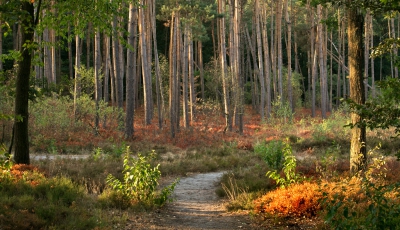 <i class='fa fa-user'></i>&nbsp;nelappelmelk&nbsp;|  Grote Droogte&nbsp; <i class='fa fa-eye'>&nbsp;136</i> &nbsp; <i class='fa fa-comment-o'>&nbsp;4</i>
