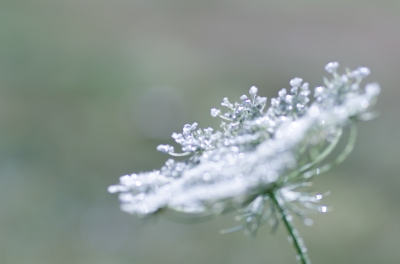 <i class='fa fa-user'></i>&nbsp;Truus Aletta Maan&nbsp;|  Peen&nbsp; <i class='fa fa-eye'>&nbsp;77</i> &nbsp; <i class='fa fa-comment-o'>&nbsp;6</i>