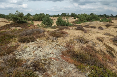 <i class='fa fa-user'></i>&nbsp;Hendrik van Kampen&nbsp;|  Droogte&nbsp; <i class='fa fa-eye'>&nbsp;97</i> &nbsp; <i class='fa fa-comment-o'>&nbsp;5</i>