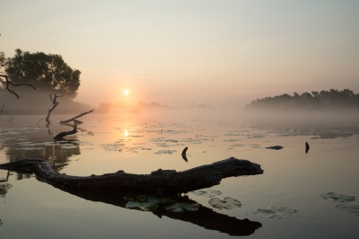 <i class='fa fa-user'></i>&nbsp;Schollevaer&nbsp;|  Zonsopkomst&nbsp; <i class='fa fa-eye'>&nbsp;112</i> &nbsp;<i class='fa fa-thumbs-up'>&nbsp;4</i> &nbsp; <i class='fa fa-comment-o'>&nbsp;4</i>