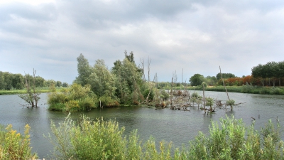 <i class='fa fa-user'></i>&nbsp;Bert Veerman&nbsp;|  Waterlandschap&nbsp; <i class='fa fa-eye'>&nbsp;94</i> &nbsp;<i class='fa fa-thumbs-up'>&nbsp;2</i> &nbsp; <i class='fa fa-comment-o'>&nbsp;3</i>