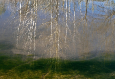 <i class='fa fa-user'></i>&nbsp;liesbeth van vliet&nbsp;|  Op en onder water&nbsp; <i class='fa fa-eye'>&nbsp;93</i> &nbsp;<i class='fa fa-thumbs-up'>&nbsp;2</i> &nbsp; <i class='fa fa-comment-o'>&nbsp;3</i>