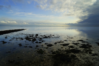 <i class='fa fa-user'></i>&nbsp;Nel R&nbsp;|  Langs de Oosterschelde&nbsp; <i class='fa fa-eye'>&nbsp;87</i> &nbsp;<i class='fa fa-thumbs-up'>&nbsp;5</i> &nbsp; <i class='fa fa-comment-o'>&nbsp;6</i>