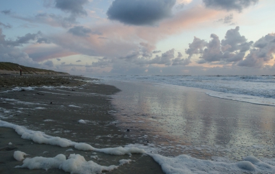 <i class='fa fa-user'></i>&nbsp;Eef Kieft&nbsp;|  Strand&nbsp; <i class='fa fa-eye'>&nbsp;95</i> &nbsp;<i class='fa fa-thumbs-up'>&nbsp;2</i> &nbsp; <i class='fa fa-comment-o'>&nbsp;4</i>