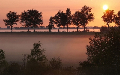 <i class='fa fa-user'></i>&nbsp;Nel R&nbsp;|  Mist in de polder&nbsp; <i class='fa fa-eye'>&nbsp;91</i> &nbsp;<i class='fa fa-thumbs-up'>&nbsp;6</i> &nbsp; <i class='fa fa-comment-o'>&nbsp;9</i>