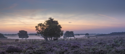 <i class='fa fa-user'></i>&nbsp;Mark van Veldhuizen&nbsp;|  Zonsopgang&nbsp; <i class='fa fa-eye'>&nbsp;113</i> &nbsp;<i class='fa fa-thumbs-up'>&nbsp;5</i> &nbsp; <i class='fa fa-comment-o'>&nbsp;4</i>