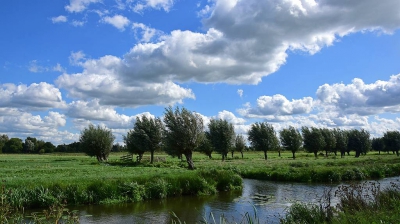 <i class='fa fa-user'></i>&nbsp;kooyammers&nbsp;|  Wind in de Wilgen&nbsp; <i class='fa fa-eye'>&nbsp;77</i> &nbsp; <i class='fa fa-comment-o'>&nbsp;1</i>
