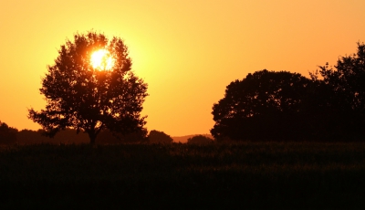 <i class='fa fa-user'></i>&nbsp;Meindert&nbsp;|  Zonsondergang&nbsp; <i class='fa fa-eye'>&nbsp;60</i> &nbsp; <i class='fa fa-comment-o'>&nbsp;0</i>