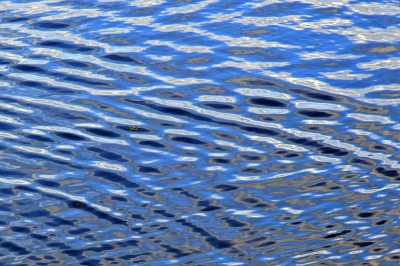<i class='fa fa-user'></i>&nbsp;kooyammers&nbsp;|  Waterstructuren&nbsp; <i class='fa fa-eye'>&nbsp;79</i> &nbsp; <i class='fa fa-comment-o'>&nbsp;1</i>