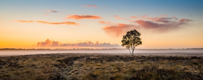 <i class='fa fa-user'></i>&nbsp;Jacob-Carl Pauw&nbsp;|  Zonsopkomst met regenbui&nbsp; <i class='fa fa-eye'>&nbsp;152</i> &nbsp;<i class='fa fa-thumbs-up'>&nbsp;9</i> &nbsp; <i class='fa fa-comment-o'>&nbsp;8</i>