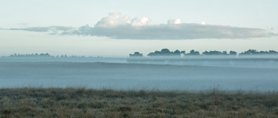 Daar sta je dan in de winterjas. Voor het eerst de handschoenen aan. Het was fris op de fiets. Het was 1 graden. Stilstaan en genieten van de laagjes mist. Hopend op een overstekend hert. Met net zijn gewei boven de mist uitstekend. Toch genoten met op de achtergrond het geburl van de herten.