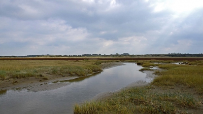 <i class='fa fa-user'></i>&nbsp;kooyammers&nbsp;|  Strand bij Oostdijk Goeree&nbsp; <i class='fa fa-eye'>&nbsp;63</i> &nbsp;<i class='fa fa-thumbs-up'>&nbsp;1</i> &nbsp; <i class='fa fa-comment-o'>&nbsp;0</i>