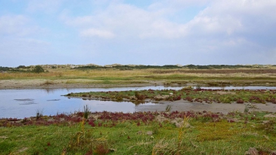<i class='fa fa-user'></i>&nbsp;kooyammers&nbsp;|  Strand De Kwade Hoek&nbsp; <i class='fa fa-eye'>&nbsp;76</i> &nbsp;<i class='fa fa-thumbs-up'>&nbsp;1</i> &nbsp; <i class='fa fa-comment-o'>&nbsp;0</i>