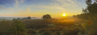 <i class='fa fa-user'></i>&nbsp;Mark van Veldhuizen&nbsp;|  Zonsopgang&nbsp; <i class='fa fa-eye'>&nbsp;140</i> &nbsp;<i class='fa fa-thumbs-up'>&nbsp;6</i> &nbsp; <i class='fa fa-comment-o'>&nbsp;7</i>