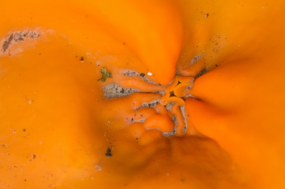 Hele plakkaten lagen er op de grond. De grond was oranje gekleurd op 1 plek. In alle formaten waren deze exemplaren aanwezig. Ben had al een opname daarvan geplaatst.