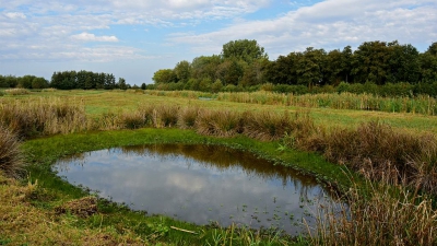 <i class='fa fa-user'></i>&nbsp;kooyammers&nbsp;|  Verdroogde poel&nbsp; <i class='fa fa-eye'>&nbsp;74</i> &nbsp;<i class='fa fa-thumbs-up'>&nbsp;1</i> &nbsp; <i class='fa fa-comment-o'>&nbsp;2</i>