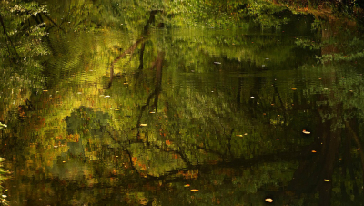 <i class='fa fa-user'></i>&nbsp;Nel R&nbsp;|  Herfstspiegeling&nbsp; <i class='fa fa-eye'>&nbsp;140</i> &nbsp;<i class='fa fa-thumbs-up'>&nbsp;7</i> &nbsp; <i class='fa fa-comment-o'>&nbsp;9</i>