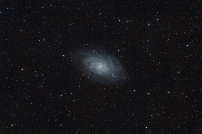 <i class='fa fa-user'></i>&nbsp;Adri Gr Nuelend&nbsp;|  Driehoeknevel&nbsp; <i class='fa fa-eye'>&nbsp;130</i> &nbsp;<i class='fa fa-thumbs-up'>&nbsp;7</i> &nbsp; <i class='fa fa-comment-o'>&nbsp;8</i>