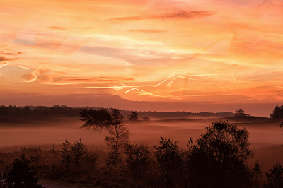 Voor zonsopgang vanmorgen. Het was een waanzinnig mooi gekleurde lucht.
Ik heb er van genoten bij 3 graden. Het was ook zo bijzonder. Aan de ene kant van de weg totaal geen mist en aan de andere kant mooie laagjes. En een opkomende zon.