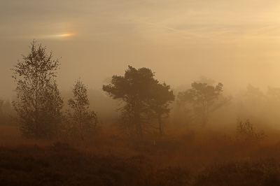<i class='fa fa-user'></i>&nbsp;Pieter  LJ&nbsp;|  Mist op de heide&nbsp; <i class='fa fa-eye'>&nbsp;75</i> &nbsp;<i class='fa fa-thumbs-up'>&nbsp;3</i> &nbsp; <i class='fa fa-comment-o'>&nbsp;4</i>