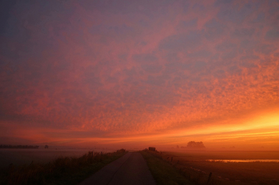 <i class='fa fa-user'></i>&nbsp;Nel R&nbsp;|  Voor zonsopkomst&nbsp; <i class='fa fa-eye'>&nbsp;81</i> &nbsp;<i class='fa fa-thumbs-up'>&nbsp;6</i> &nbsp; <i class='fa fa-comment-o'>&nbsp;6</i>