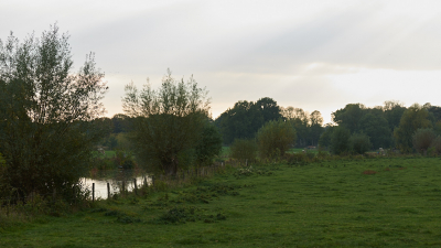 <i class='fa fa-user'></i>&nbsp;peter wijn&nbsp;|  Kromme Rijn&nbsp; <i class='fa fa-eye'>&nbsp;104</i> &nbsp; <i class='fa fa-comment-o'>&nbsp;7</i>