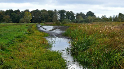 <i class='fa fa-user'></i>&nbsp;kooyammers&nbsp;|  Voortdurende Droogte&nbsp; <i class='fa fa-eye'>&nbsp;91</i> &nbsp;<i class='fa fa-thumbs-up'>&nbsp;1</i> &nbsp; <i class='fa fa-comment-o'>&nbsp;3</i>