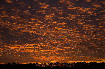 <i class='fa fa-user'></i>&nbsp;Truus Aletta Maan&nbsp;|  Zonsondergang&nbsp; <i class='fa fa-eye'>&nbsp;110</i> &nbsp;<i class='fa fa-thumbs-up'>&nbsp;2</i> &nbsp; <i class='fa fa-comment-o'>&nbsp;6</i>