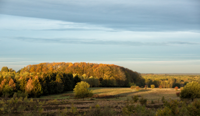 Even verscheen de zon op de toppen van de bomen. Genoten van het mooie licht.