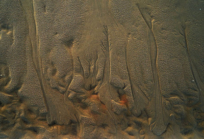 <i class='fa fa-user'></i>&nbsp;Nel R&nbsp;|  Sculptuur van Moeder Natuur&nbsp; <i class='fa fa-eye'>&nbsp;146</i> &nbsp;<i class='fa fa-thumbs-up'>&nbsp;11</i> &nbsp; <i class='fa fa-comment-o'>&nbsp;9</i>