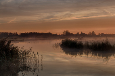 <i class='fa fa-user'></i>&nbsp;kiran&nbsp;|  Ochtend aan het water&nbsp; <i class='fa fa-eye'>&nbsp;88</i> &nbsp;<i class='fa fa-thumbs-up'>&nbsp;5</i> &nbsp; <i class='fa fa-comment-o'>&nbsp;5</i>