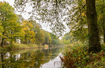 <i class='fa fa-user'></i>&nbsp;Pentax4ever&nbsp;|  Herfst&nbsp; <i class='fa fa-eye'>&nbsp;87</i> &nbsp;<i class='fa fa-thumbs-up'>&nbsp;1</i> &nbsp; <i class='fa fa-comment-o'>&nbsp;2</i>