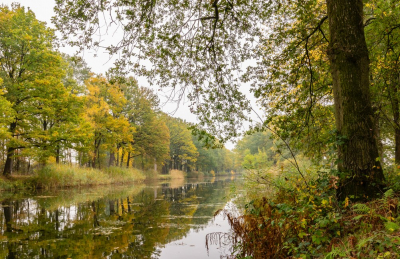 Herfstsfeer langs het Eindhovensch kanaal. Het kanaal heeft al heel lang uitsluitend nog een recreatieve functie en wordt niet meer bevaren, hierdoor kan de natuur lekker zijn gang gaan.