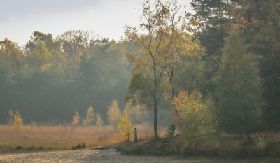 Op pad om wat kleurige herfstfoto's te maken zag ik dit schilderachtige hoekje. Opname uit de hand.