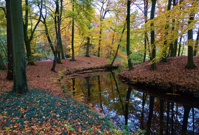 <i class='fa fa-user'></i>&nbsp;Ben Aalders&nbsp;|  Herfstkleuren&nbsp; <i class='fa fa-eye'>&nbsp;135</i> &nbsp;<i class='fa fa-thumbs-up'>&nbsp;3</i> &nbsp; <i class='fa fa-comment-o'>&nbsp;6</i>