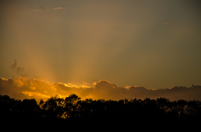 <i class='fa fa-user'></i>&nbsp;Truus Aletta Maan&nbsp;|  Zonsondergang&nbsp; <i class='fa fa-eye'>&nbsp;72</i> &nbsp;<i class='fa fa-thumbs-up'>&nbsp;4</i> &nbsp; <i class='fa fa-comment-o'>&nbsp;3</i>