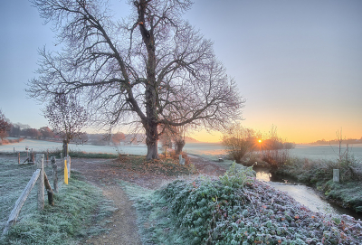 <i class='fa fa-user'></i>&nbsp;Jurgen Maassen&nbsp;|  Mamelis&nbsp; <i class='fa fa-eye'>&nbsp;180</i> &nbsp;<i class='fa fa-thumbs-up'>&nbsp;6</i> &nbsp; <i class='fa fa-comment-o'>&nbsp;10</i>