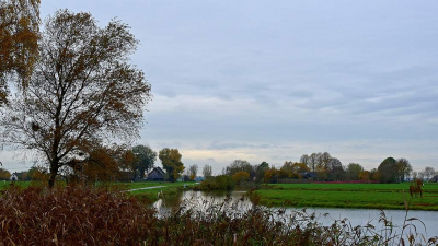 <i class='fa fa-user'></i>&nbsp;kooyammers&nbsp;|  Boerenbuurt Westeinde&nbsp; <i class='fa fa-eye'>&nbsp;71</i> &nbsp;<i class='fa fa-thumbs-up'>&nbsp;1</i> &nbsp; <i class='fa fa-comment-o'>&nbsp;2</i>