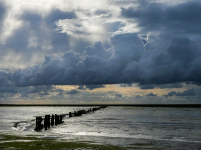 <i class='fa fa-user'></i>&nbsp;Jacolienl&nbsp;|  Waddenzee&nbsp; <i class='fa fa-eye'>&nbsp;127</i> &nbsp;<i class='fa fa-thumbs-up'>&nbsp;4</i> &nbsp; <i class='fa fa-comment-o'>&nbsp;4</i>