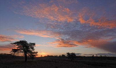<i class='fa fa-user'></i>&nbsp;nelappelmelk&nbsp;|  Zonsopkomst&nbsp; <i class='fa fa-eye'>&nbsp;79</i> &nbsp; <i class='fa fa-comment-o'>&nbsp;3</i>