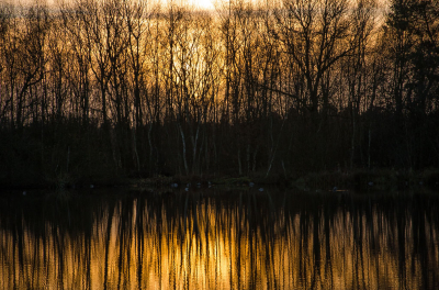 <i class='fa fa-user'></i>&nbsp;Truus Aletta Maan&nbsp;|  Zonsondergang&nbsp; <i class='fa fa-eye'>&nbsp;71</i> &nbsp;<i class='fa fa-thumbs-up'>&nbsp;3</i> &nbsp; <i class='fa fa-comment-o'>&nbsp;2</i>
