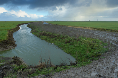 <i class='fa fa-user'></i>&nbsp;Hendrik van Kampen&nbsp;|  Zomerpolder&nbsp; <i class='fa fa-eye'>&nbsp;100</i> &nbsp; <i class='fa fa-comment-o'>&nbsp;7</i>
