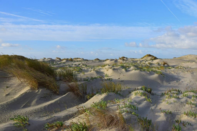 <i class='fa fa-user'></i>&nbsp;kooyammers&nbsp;|  Duinen Kwade Hoek&nbsp; <i class='fa fa-eye'>&nbsp;119</i> &nbsp;<i class='fa fa-thumbs-up'>&nbsp;8</i> &nbsp; <i class='fa fa-comment-o'>&nbsp;6</i>