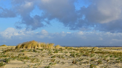 <i class='fa fa-user'></i>&nbsp;kooyammers&nbsp;|  Duinen Kwade Hoek 2&nbsp; <i class='fa fa-eye'>&nbsp;86</i> &nbsp; <i class='fa fa-comment-o'>&nbsp;1</i>