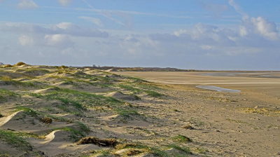 <i class='fa fa-user'></i>&nbsp;kooyammers&nbsp;|  Duinen en Strand&nbsp; <i class='fa fa-eye'>&nbsp;81</i> &nbsp; <i class='fa fa-comment-o'>&nbsp;1</i>