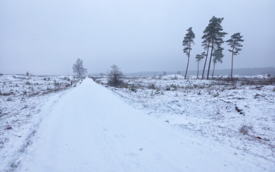 Al vroeg een rondje in de wijk gelopen. Te donker om te fotograferen. Niet echt glad. Daarna er met de auto op uit gegaan. Op de heide lag aardig wat sneeuw.