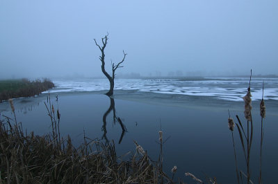 <i class='fa fa-user'></i>&nbsp;frbeuming&nbsp;|  Machtige stilte in de mist&nbsp; <i class='fa fa-eye'>&nbsp;95</i> &nbsp;<i class='fa fa-thumbs-up'>&nbsp;2</i> &nbsp; <i class='fa fa-comment-o'>&nbsp;2</i>